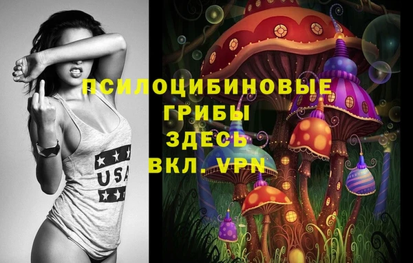 ALPHA-PVP Аркадак