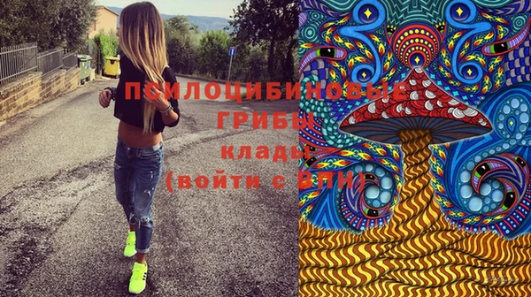 гидропоника Армянск
