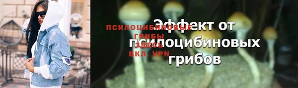 ALPHA-PVP Аркадак