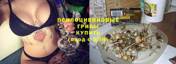 гидропоника Армянск